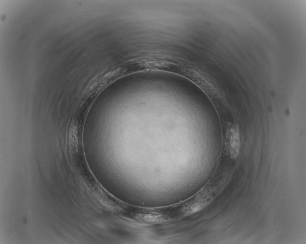 X0000085060506200703121528