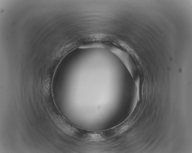 X0000085060509200703121528