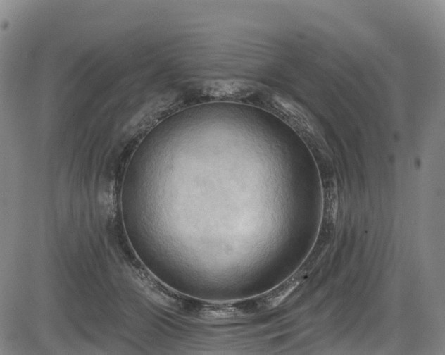 X0000085060510200703121528