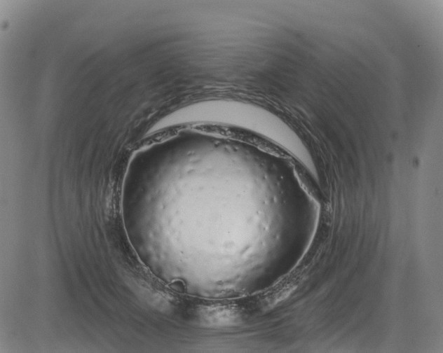 X0000085060511200703121528