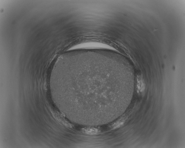 X0000085060512200703121528