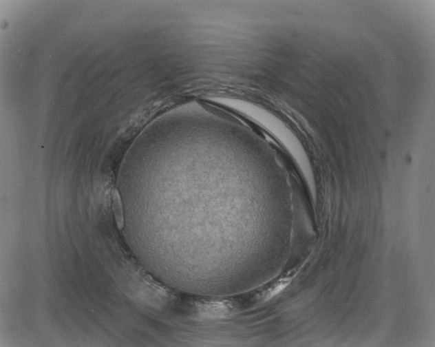 X0000085060513200703121528