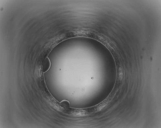 X0000085060514200703121528