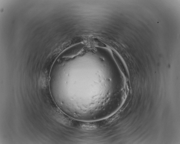 X0000085060515200703121528