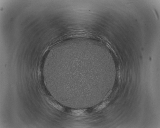 X0000085060516200703121528