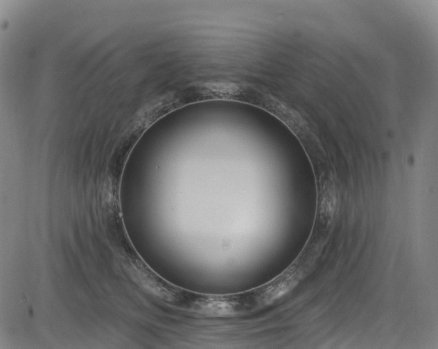 X0000085060518200703121528