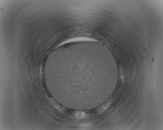 X0000085060519200703121528