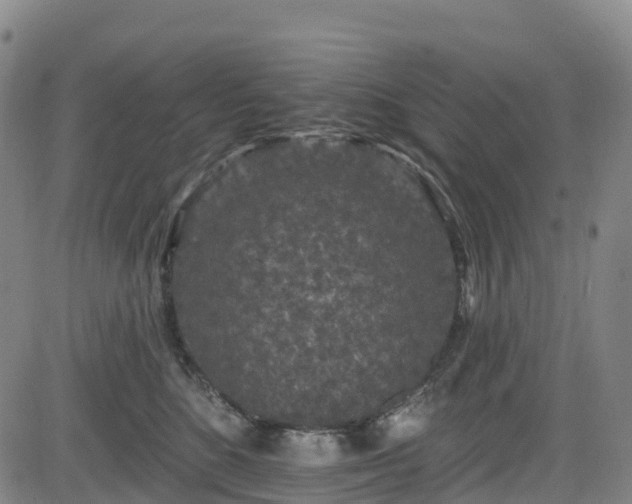 X0000085060520200703121528