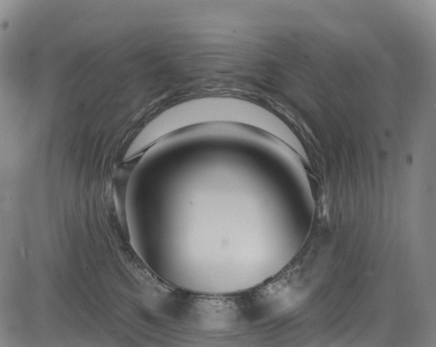 X0000085060521200703121528