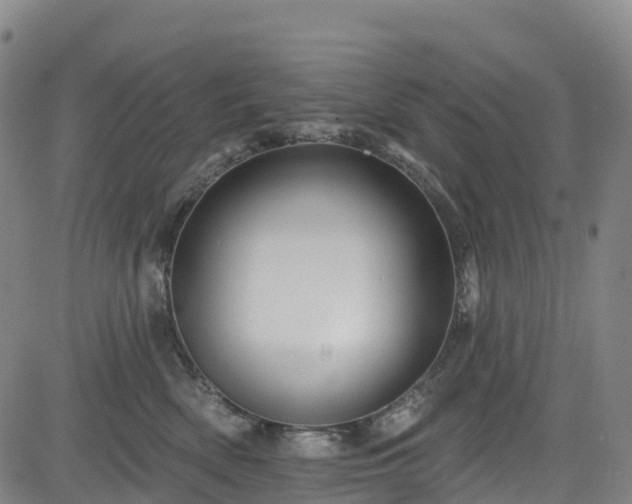 X0000085060522200703121528