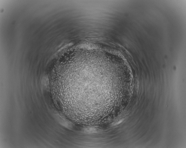 X0000085060523200703121528