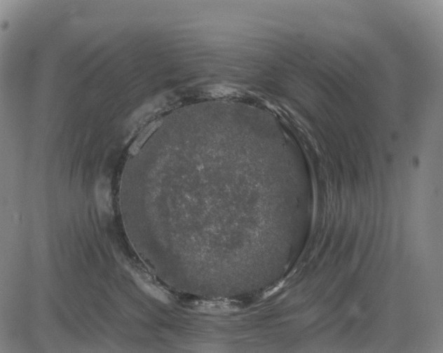 X0000085060524200703121528