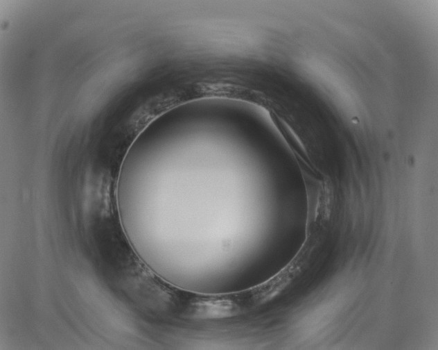 X0000085060525200703121528