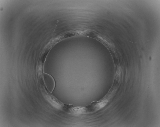 X0000085060526200703121528