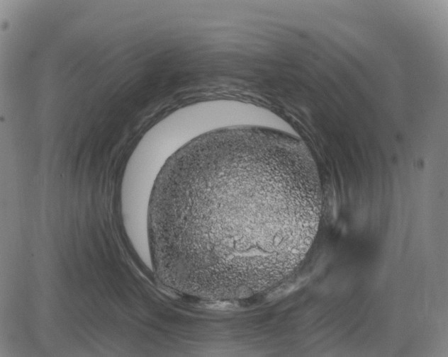 X0000085060527200703121528