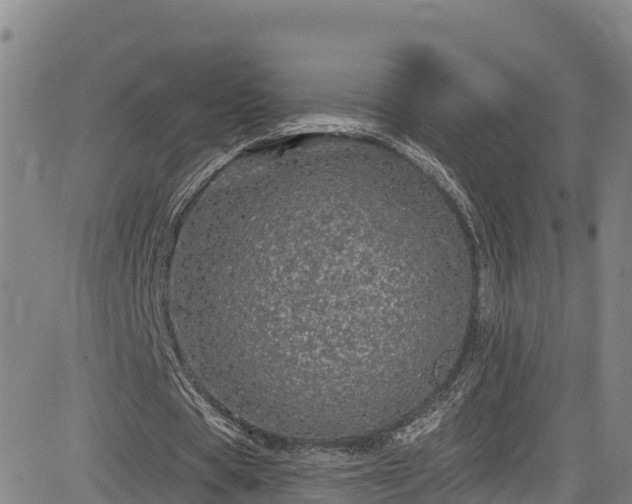 X0000085060529200703121527