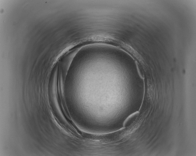 X0000085060530200703121527