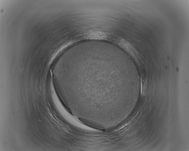 X0000085060531200703121527