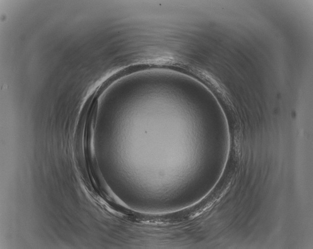 X0000085060532200703121527