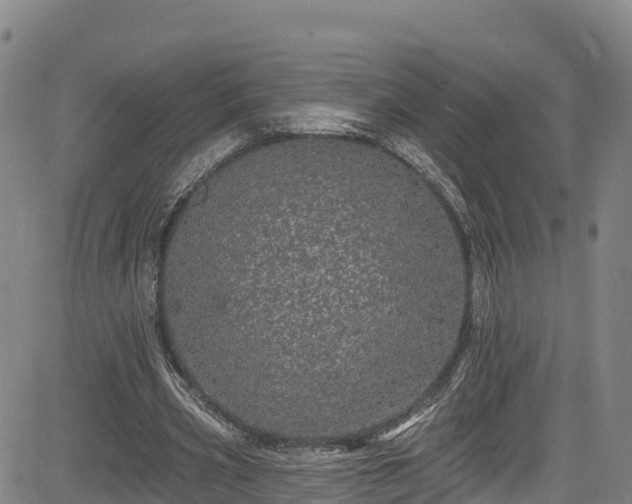 X0000085060533200703121527