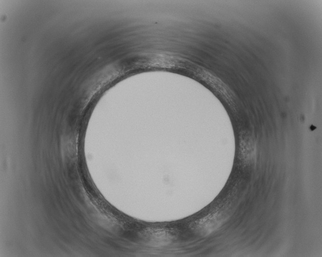 X0000085060534200703121527