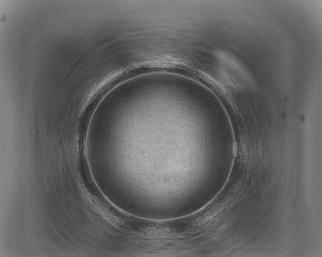 X0000085060535200703121527