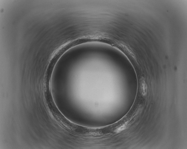 X0000085060536200703121527