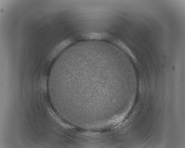 X0000085060537200703121527