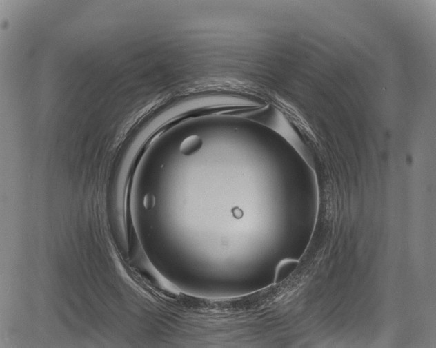 X0000085060538200703121527