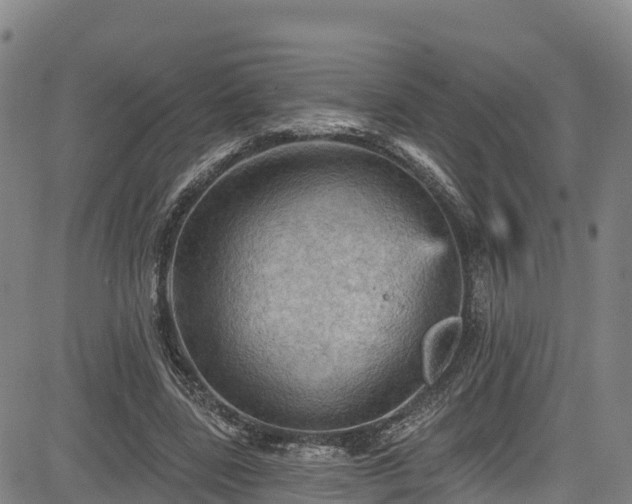 X0000085060539200703121527