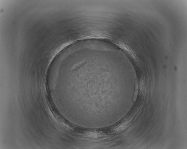 X0000085060540200703121527