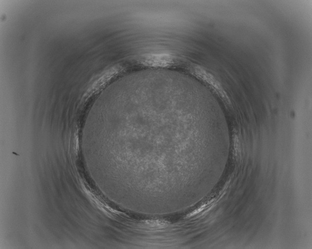 X0000085060541200703121527