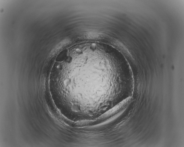 X0000085060542200703121527