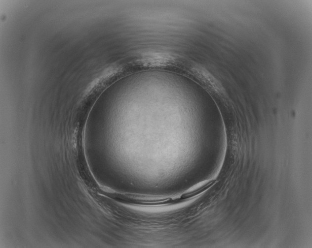 X0000085060543200703121527