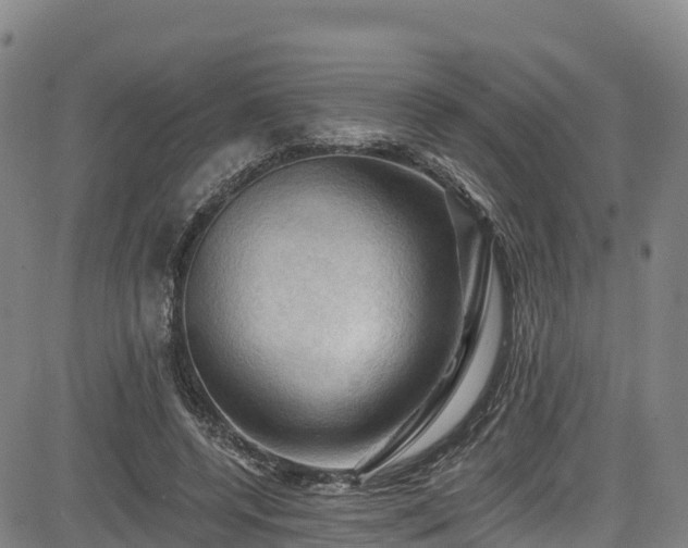 X0000085060544200703121527