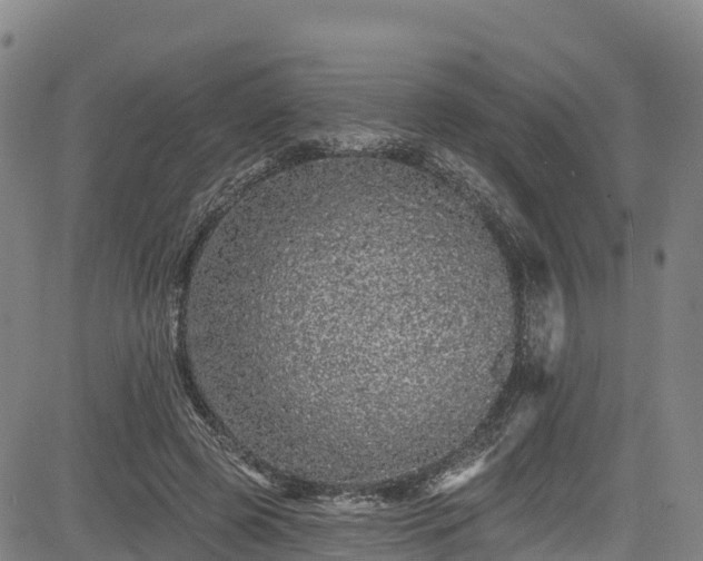 X0000085060545200703121527