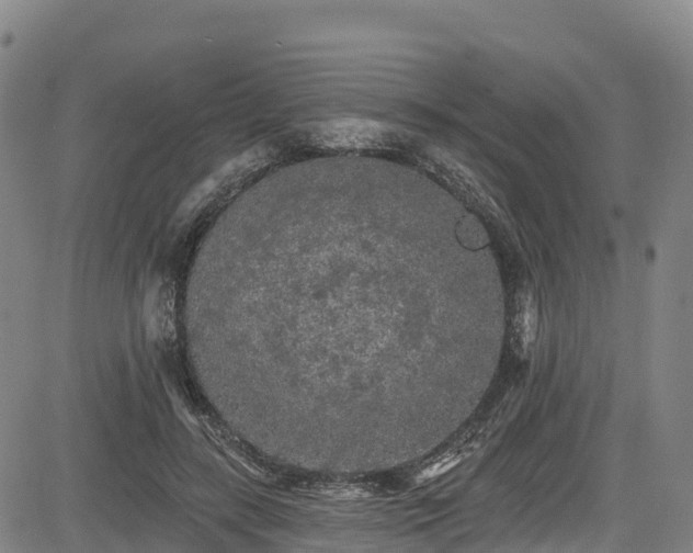 X0000085060547200703121527