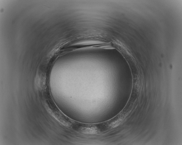 X0000085060548200703121527