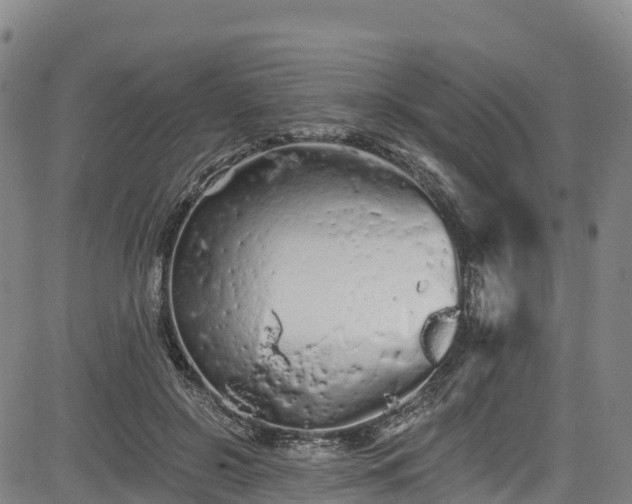 X0000085060550200703121528