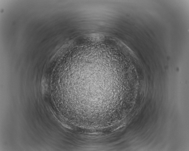 X0000085060553200703121528