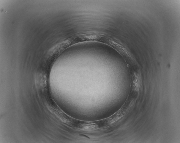 X0000085060555200703121528