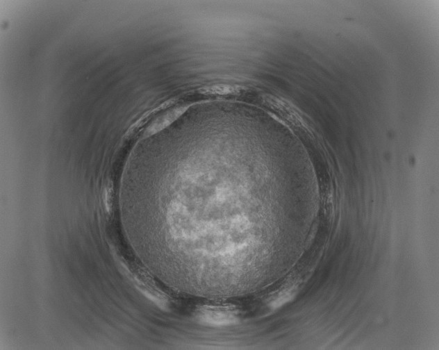 X0000085060556200703121528