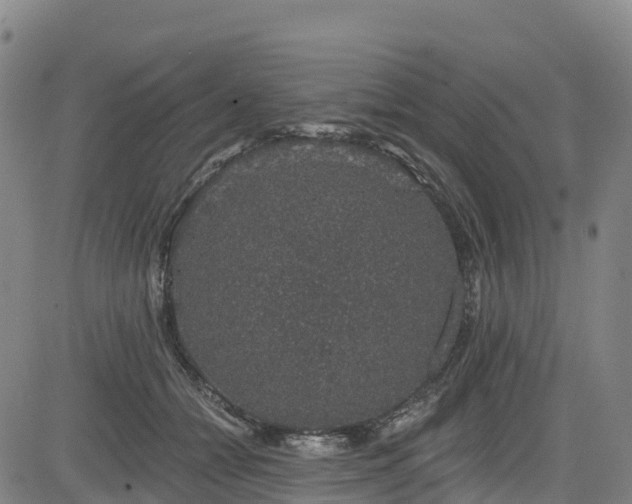 X0000085060558200703121528