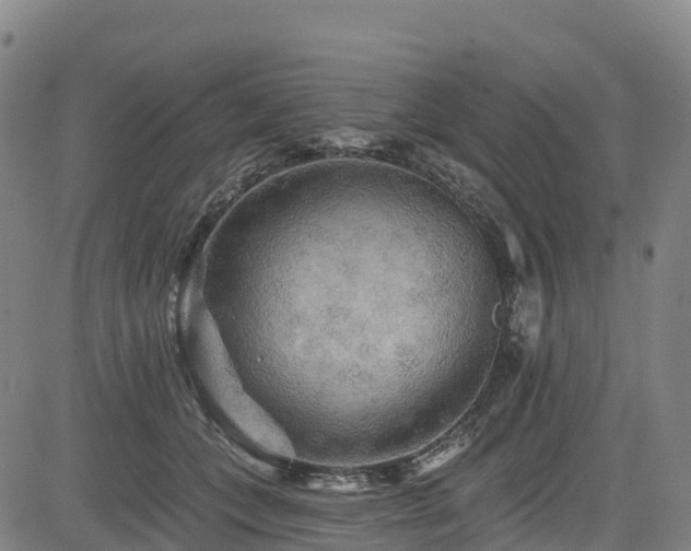 X0000085060559200703121528