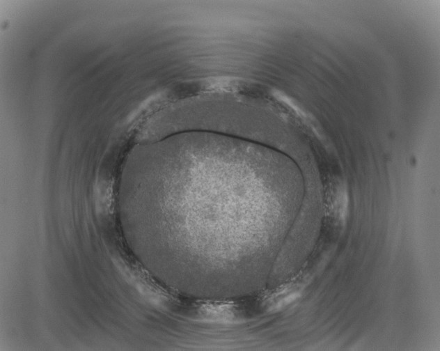 X0000085060560200703121528