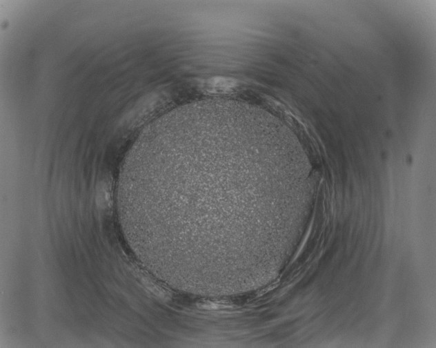 X0000085060561200703121528