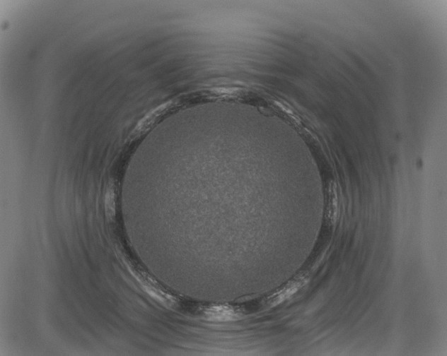 X0000085060562200703121528