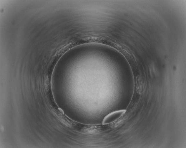 X0000085060563200703121528