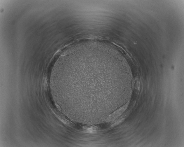 X0000085060564200703121528