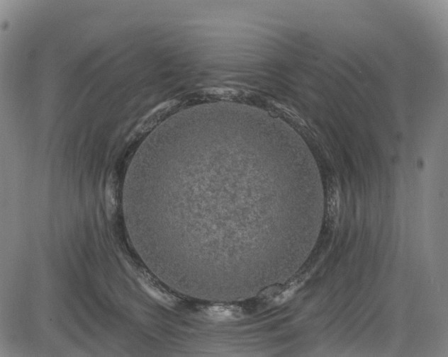 X0000085060566200703121528